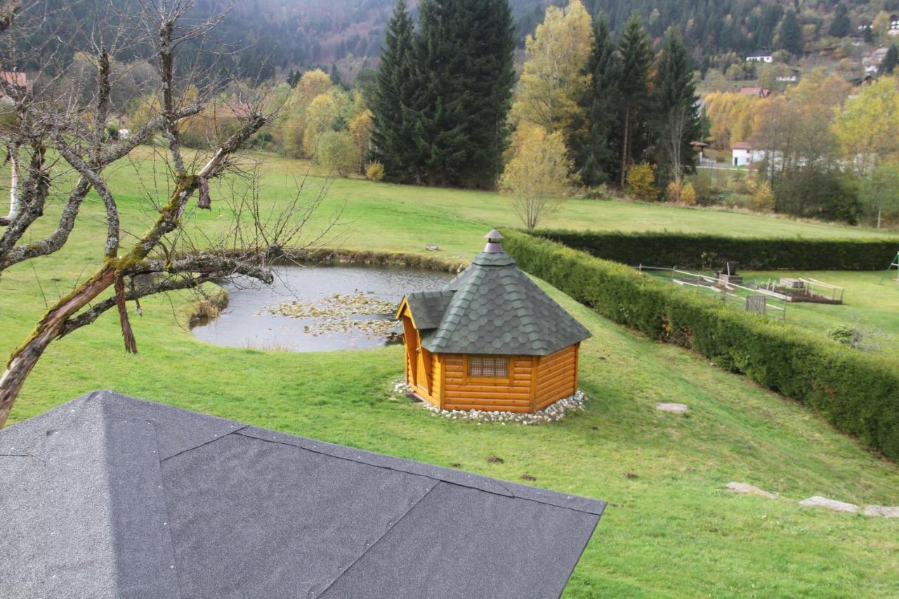 Chalet Centauree - Remy Herold Xonrupt-Longemer Exterior photo