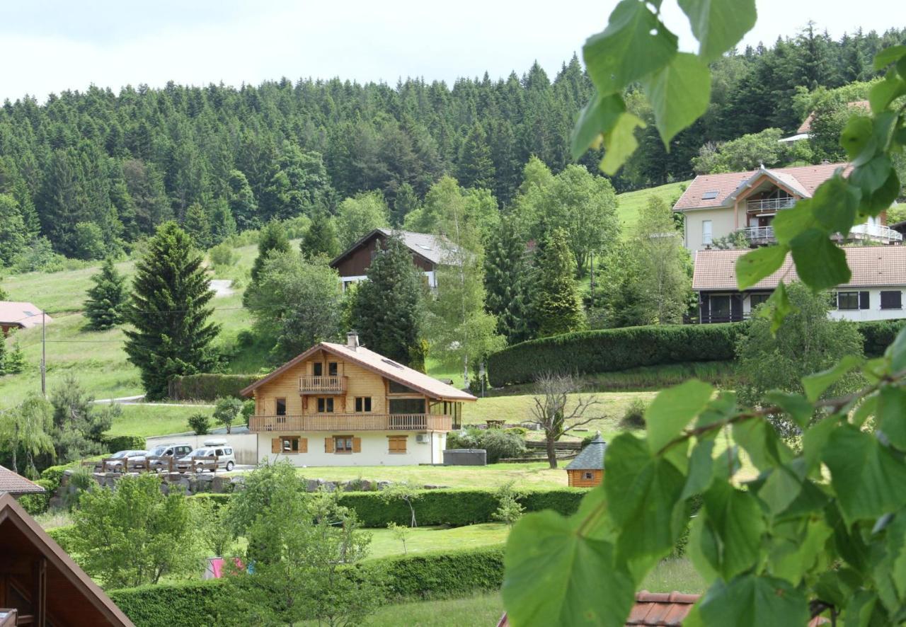 Chalet Centauree - Remy Herold Xonrupt-Longemer Exterior photo