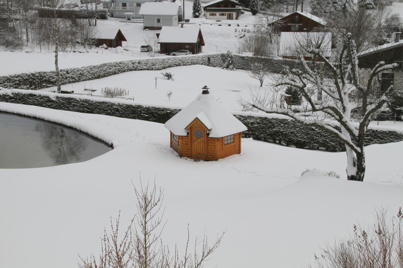 Chalet Centauree - Remy Herold Xonrupt-Longemer Exterior photo